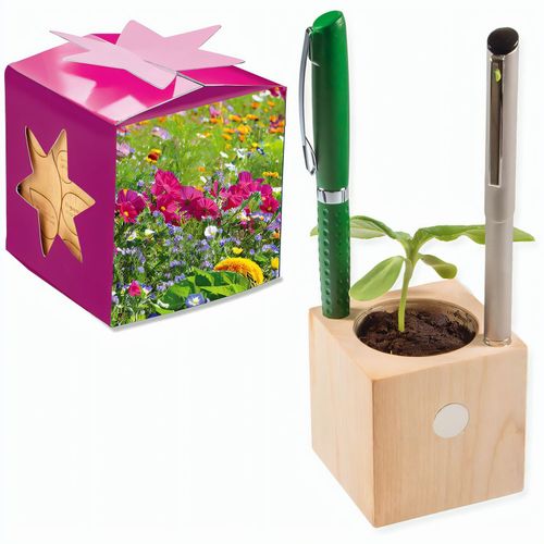Pflanz-Holz Büro Star-Box mit Samen - Sommerblumenmischung, 1 Seite gelasert (Art.-Nr. CA726718) - Der Würfel aus hellem, europäisch...