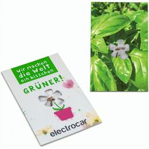Samen-Karte-Mini Blume - Basilikum (individuell) (Art.-Nr. CA735807)