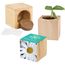 Pflanz-Holz Maxi mit Samen - Margerite (individuell) (Art.-Nr. CA759056)