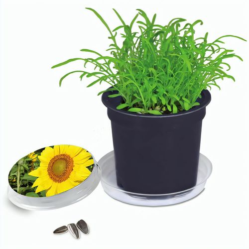 Florero-Töpfchen mit Samen - schwarz - Sonnenblume (Art.-Nr. CA768754) - Das Florero-Töpfchen in schwarz, gefül...