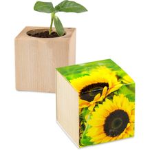 Pflanz-Holz - Standardmotiv - Sonnenblume - 2 Seiten gelasert (standard) (Art.-Nr. CA803974)