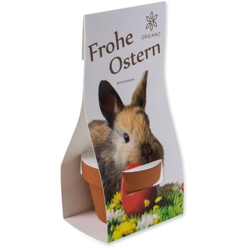 Logo-Töpfchen Überreichverpackung mit Samen - Ostern - Eierbaumsamen (Art.-Nr. CA806224) - Überreichen Sie Ihrem Kunden zu Oster...