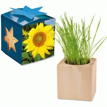 Pflanz-Holz Maxi Star-Box mit Samen - Sonnenblume, 1 Seite gelasert (individuell) (Art.-Nr. CA811542)