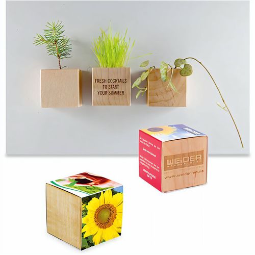 Pflanz-Holz Magnet mit Samen - Sonnenblume (Art.-Nr. CA820546) - Ob am Kühlschrank, der Pinnwand ode...