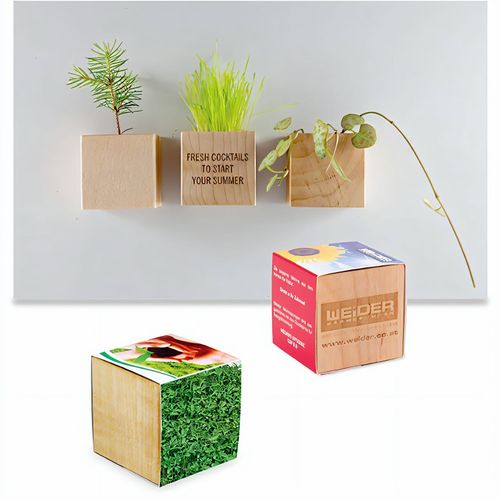 Pflanz-Holz Magnet mit Samen - Gartenkresse, 1 Seite gelasert (Art.-Nr. CA839950) - Ob am Kühlschrank, der Pinnwand ode...
