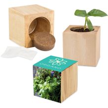 Pflanz-Holz Maxi mit Samen - Kräutermischung, 1 Seite gelasert (individuell) (Art.-Nr. CA854403)