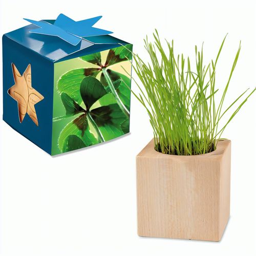 Pflanz-Holz Maxi Star-Box mit Samen - Glücksklee-Zwiebel, 2 Seiten gelasert (* Je nach Verfügbarkeit der Glücksklee-Zwiebeln) (Art.-Nr. CA863450) - Der Würfel aus hellem, europäisch...