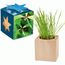 Pflanz-Holz Maxi Star-Box mit Samen - Glücksklee-Zwiebel, 2 Seiten gelasert (* Je nach Verfügbarkeit der Glücksklee-Zwiebeln) (individuell) (Art.-Nr. CA863450)