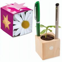 Pflanz-Holz Büro Star-Box mit Samen - Margerite, 1 Seite gelasert (individuell) (Art.-Nr. CA870024)