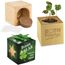 Pflanz-Holz Star-Box mit Samen - Glücksklee-Zwiebel, 1 Seite gelasert (* Je nach Verfügbarkeit der Glücksklee-Zwiebeln) (individuell) (Art.-Nr. CA900114)