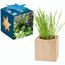 Pflanz-Holz Maxi Star-Box mit Samen - Kräutermischung (individuell) (Art.-Nr. CA905277)