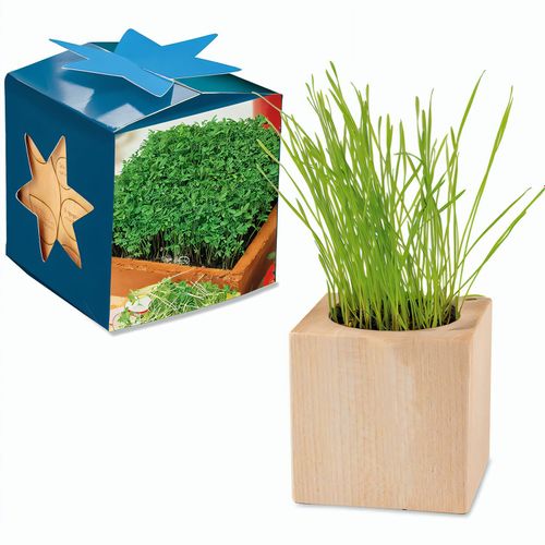Pflanz-Holz Maxi Star-Box mit Samen - Gartenkresse, 1 Seite gelasert (Art.-Nr. CA913578) - Der Würfel aus hellem, europäisch...