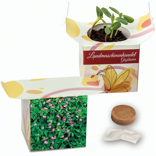 Blumenampel - Persischer Klee (Art.-Nr. CA930425) - Die kleine Blumenampel präsentier...