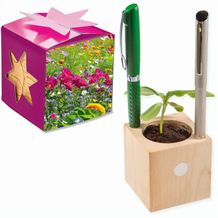 Pflanz-Holz Büro Star-Box mit Samen - Sommerblumenmischung, 2 Seiten gelasert (individuell) (Art.-Nr. CA939909)