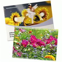Samentütchen Groß - Standardpapier - Sommerblumenmischung (individuell) (Art.-Nr. CA958974)