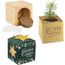 Pflanz-Holz Star-Box Xmas mit Fichtensamen - Fichte (individuell) (Art.-Nr. CA968981)