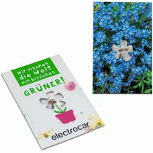 Samen-Karte-Mini Blume - Vergissmeinnicht (individuell) (Art.-Nr. CA999267)