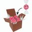 Color Lindor Box (rosa) (Art.-Nr. CA077723)