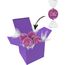 Color Lindor Box (lila) (Art.-Nr. CA262979)
