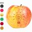 LogoFrucht Apfel "Brainstorming" rot (mehrfarbig) (Art.-Nr. CA431219)