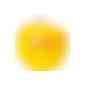 LogoFrucht Apfel gelb (Art.-Nr. CA453477) - 1 Qualitäts-Apfel gelb, inkl. LOGOFruch...