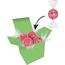 Color Lindor Box (rosa) (Art.-Nr. CA486260)