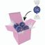 Color Lindor Box (blau) (Art.-Nr. CA552845)