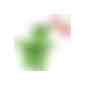 Color Box Lindt X-Mas (Art.-Nr. CA570654) - 1 ColorBox Hellgrün gefüllt mit 1 Lind...