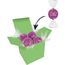 Color Lindor Box (lila) (Art.-Nr. CA584375)