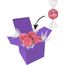 Color Lindor Box (rosa) (Art.-Nr. CA593217)