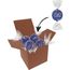 Color Lindor Box (blau) (Art.-Nr. CA594041)