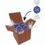 Color Lindor Box (blau) (Art.-Nr. CA594041)