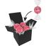 Color Lindor Box (rosa) (Art.-Nr. CA645763)