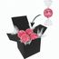 Color Lindor Box (rosa) (Art.-Nr. CA645763)