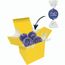 Color Lindor Box (blau) (Art.-Nr. CA692446)