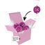 Color Lindor Box (lila) (Art.-Nr. CA697460)