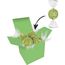 Color Lindor Box (grün) (Art.-Nr. CA711303)