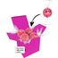 Color Lindor Box (rosa) (Art.-Nr. CA739413)