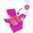 Color Lindor Box (rosa) (Art.-Nr. CA739413)