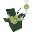 Color Lindor Box (grün) (Art.-Nr. CA798982)