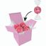 Color Lindor Box (rosa) (Art.-Nr. CA820582)