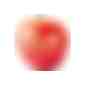 LogoFrucht Apfel rot (Art.-Nr. CA838780) - 1 Qualitäts-Apfel rot, inkl. LOGOFrucht...