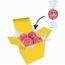 Color Lindor Box (rosa) (Art.-Nr. CA907668)