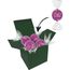Color Lindor Box (lila) (Art.-Nr. CA985108)