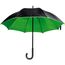 Luxuriöser Regenschirm mit doppelter Bespannung aus Polyester (grün) (Art.-Nr. CA080063)