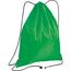 Gymbag aus Polyester (grün) (Art.-Nr. CA092075)