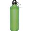 Trinkflasche aus Metall mit Karabinerhaken, 800ml (apfelgrün) (Art.-Nr. CA515013)