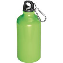 Trinkflasche aus Metall mit Karabinerhaken, 500ml (apfelgrün) (Art.-Nr. CA687726)