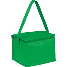 Non-Woven Kühltasche für 6 Dosen (grün) (Art.-Nr. CA820086)