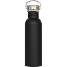 Wasserflasche Ashton 750ml (Schwarz) (Art.-Nr. CA037556)